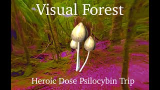 Visual Forest: A Heroic Dose Mushroom Simulation (5-7g+ Experience)