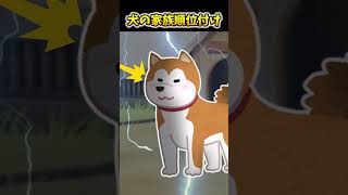 【2ch面白スレ】犬の家族順位付け #shorts