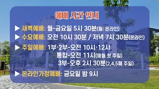 #새삶침례교회｜수요 2부 예배 (1부 녹화 방송)｜2025년 2월 12일 (수)