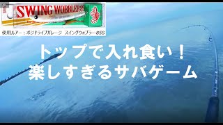 トップサバゲームという新しいジャンルの釣りwすごく楽しいよ！サバ湧いたら是非お試し下さい！！#short