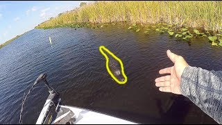 ANGRY Alligator ATTACKS My Boat!! (Dangerous!!)