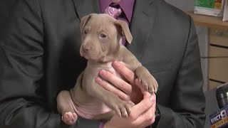 Humane Society of Eastern Carolina receives $10,000 grant from Petco Love