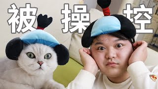 花花与三猫被粉丝操控的一天...太羞耻了！｜花花与三猫 Cat Live