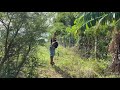 vlog219 2.9 hectare farm lot for sale rosario batangas philippines farm lots for sale philippines