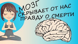 Как мозг защищает нас от мысли о собственной смерти