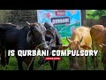 Is Qurbani Compulsory