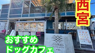 【西宮ドックカフェ】西宮でペットと一緒におしゃれな雰囲気のある店！