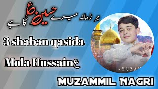 Har zamana mara Hussain a.s ka ha || qasida mola hussain a.s