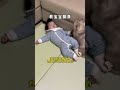 Cat and Baby 你陪我长大，我陪你变老…记录娃和猫陪伴成长的这两年！🥰🐱#shorts #cat #catandbaby