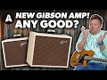 Gibson Are Making Amps Again? - Gibson Falcon Guitar Amps!