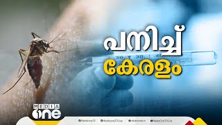 എട്ടു മാസത്തിനിടെ 116 പേർ എലിപ്പനി ബാധിച്ചു മരിച്ചു; വിട്ടുമാറാതെ പകർച്ചവ്യാധി