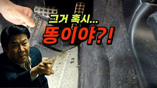 1년간 방치된 차 바닥 열었더니 나와서는 안 될 게 나왔다