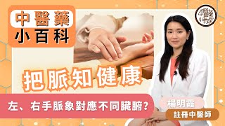 【中醫藥小教室】中醫小百科－第十集：把脈知健康