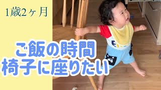 【1歳2ヶ月】椅子に座らせてアピール