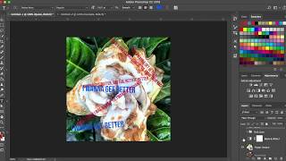 Mini Assignment 8: Layout Grid Challenge Demo