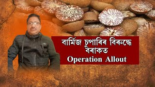 বাৰ্মিজ চুপাৰিৰ বিৰুদ্ধে বৰাকত Operation Allout