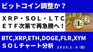 ビットコイン調整くるか？ 2025年中リップル・ソラナ・ライトコイン現物型ETF承認で再急騰へ！ BTC,XRP,ETH,LTC,SOL,DOGE,FLR,XYMチャート分析【2025年2月9日版】