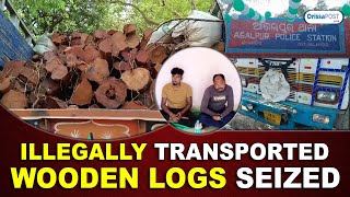 Illegally transported wooden logs seized