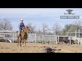 logging your calf horse tuf kaf instructional video series w james barton