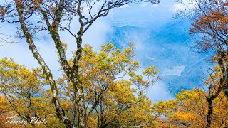 山毛櫸國家步道  太平山 翠峰湖