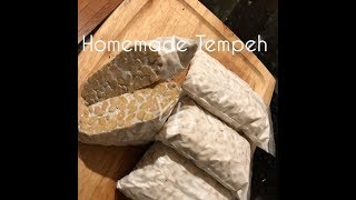 Homemade Tempeh without de-hulled / easy method and fast / tasty, vegan and vegetarian friendly
