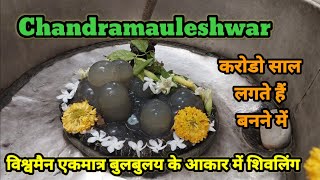 Chandramauleshwar Mahadev | Parpotiya Mahadev | विश्वमैन एकमात्र बुलबुलय के आकार में शिवलिंग |Dholka