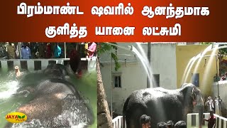 பிரம்மாண்ட ஷவரில் ஆனந்தமாக குளித்த யானை லட்சுமி | Trichy | temple Elephant Lakshmi | Shower Bath