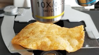 Lay's potato chips Under the Microscope