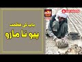 Payo Naa Maroo I Heart Touching Sad Poetry Baap di Shaan I East-Mashriq I Putar Parha K I MH TAHIR