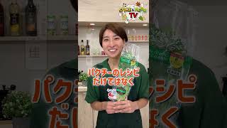 【オフカット】パクチー好き必見！パクチー産地や絶品レシピを大公開！！#スパイスハーブtv #shorts