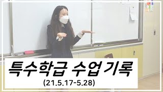 [특수교육] 특수학급 수업기록 / 주제학습 / 다양성교육 / 성인권교육 / 원예치료 / 초등특수학급