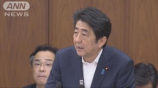 “正常化国会”　総理「農協システム見直し行う」(15/06/25)