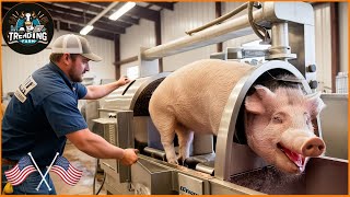 Shocking ! Inside the High-Tech Facilities Processing Millions of Wild Boars | Processing Factory