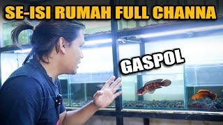 RUANGAN LUAR DALAM ISI CHANNA SEMUA