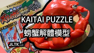 開箱 | 不能吃的螃蟹！！！KAITAI PUZZLE 螃蟹解體模型玩具開箱【JLTK craft】