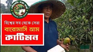 ছাদ বাগানের জন্য মিষ্টি কাটিমন আম। বিশ্বের সব থেকে সেরা বারোমাসি আম কাটিমন। গৌড়মতি এগ্রো ফার্ম