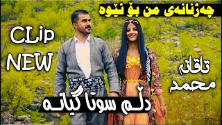 Mahamad Taqana 2021 New Clip ( Dllm Suta Gyana ) محمد تاقانه‌ دڵم سوتا