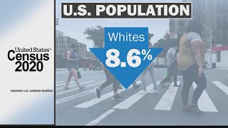 '5 takeaways from 2020 census data