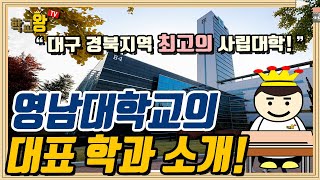 [영남대학교] 학과 소개! 역시 영남대 대표 학과는 이거지!