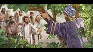 13 Zacchaeus meets Jesus