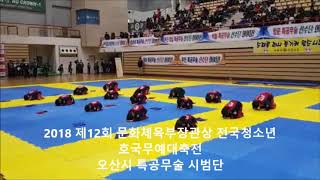 특공무술2018문화체육관광부전국청소년호국특공무술대회오산시특공무술시범단