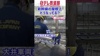 【新幹線の屋根に乗る】新幹線の舞台ウラ 安全運行を守る仕事人たちに密着『every.特集』〔日テレ鉄道部〕