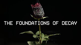 The Foundations of Decay - My Chemical Romance [Lyrics]