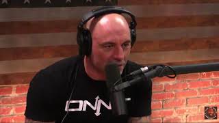 Joe Rogan - Fat Shaming Works!