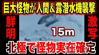 【ゆっくり解説】15mの巨大怪物が人間を襲撃！さらにロシア政府組織の潜水機も未確認生物から襲われていた！北極で撮影された＆目撃証言がヤバい怪物たち【UMAニンゲンだけではない】【UMA実在説】