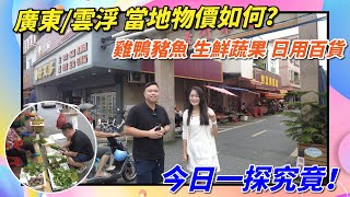 雲浮新區麥洲街市場｜探一下物價究竟如何？消費平唔平？睇樓團9月7號出發