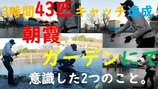 3時間43匹キャッチ達成。朝霞ガーデンで意識した２つのこと。