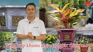 Tổng Hợp 5 Bộ Khuôn Đúc Chậu Cảnh ABS Dáng Cao | Khuôn Chậu Cảnh ABS Việt Nam