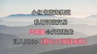 3、如何制作爆款作品 小红书短剧赛道，私域引流交易，会复制粘贴，日入500+（附6 7T短剧资源）