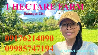 Vlog633: FOR SALE 1 HECTARE  FARM WITH MOUNTAIN VIEW IN BATANGAS CITY PHILIPPINES